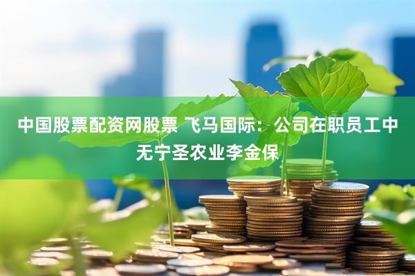 中国股票配资网股票 飞马国际：公司在职员工中无宁圣农业李金保
