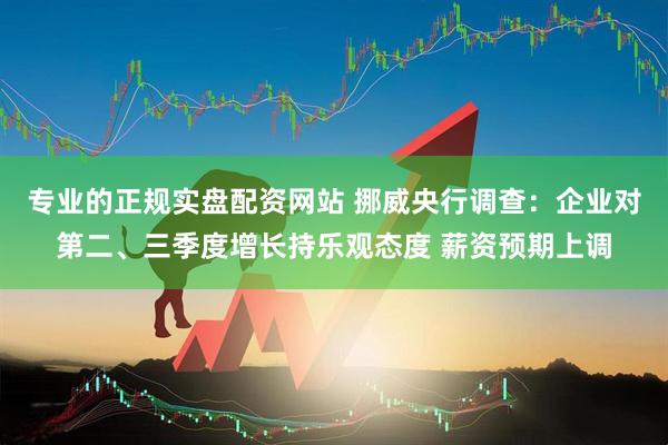 专业的正规实盘配资网站 挪威央行调查：企业对第二、三季度增长持乐观态度 薪资预期上调