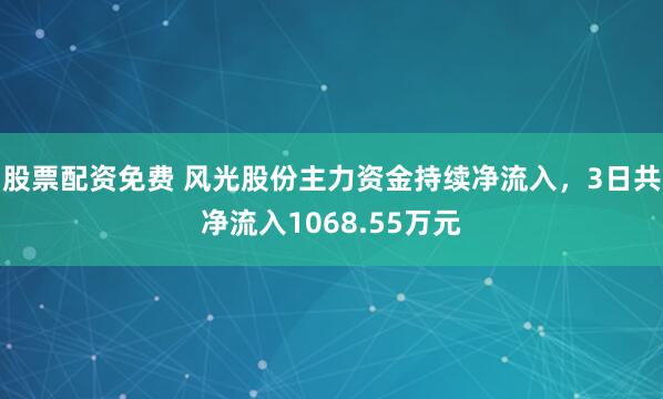 股票配资免费 风光股份主力资金持续净流入，3日共净流入1068.55万元