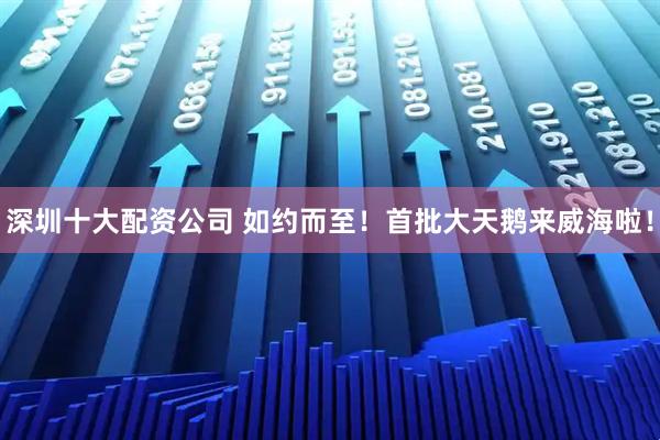 深圳十大配资公司 如约而至！首批大天鹅来威海啦！