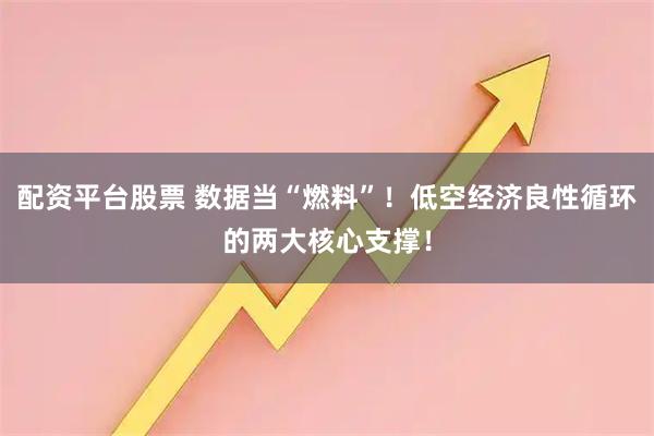 配资平台股票 数据当“燃料”！低空经济良性循环的两大核心支撑！