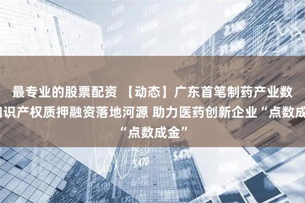 最专业的股票配资 【动态】广东首笔制药产业数据知识产权质押融资落地河源 助力医药创新企业“点数成金”